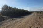 49 ac Land at Olooshoibor - 2