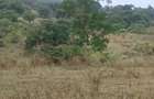 2.8 ha Commercial Land at Tiwi - 10