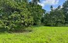 Land in Mtwapa - 13