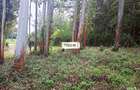 0.156 ac Land in Kikuyu Town - 2