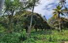 46 ac Land at Greenwood Mtwapa - 12