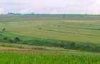 Land in Narok - 7