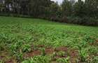 0.113 ac Land in Ngong - 3