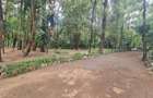 Land at Ndege Road - 5