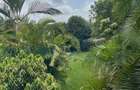 4 Bed House with En Suite in Runda - 4