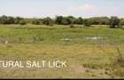 33 ac Land at Narok County - 10