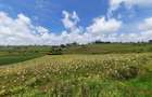 Land at Molo - 5
