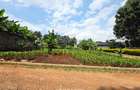 0.42 ac Land in Kiambu Road - 3