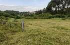 0.125 ac Land in Kikuyu Town - 1