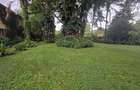 Commercial Land in Lavington - 3