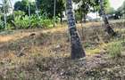 15 ac Land at Bomani - 3