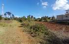 1.5 ac Residential Land at Kibiko - Ngong - 3