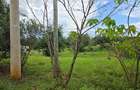 0.5 ac Land at Muthaiga North - 4