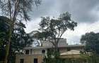 4 Bed House with En Suite in Karen - 8