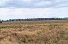 700 ac Land at Bisil - 2