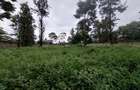 Residential Land at Runda Grove - 12