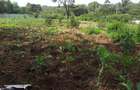 1 ac Land in Karen - 7