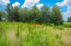 0.05 ha Residential Land at Ng'Amba - 4