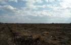 0.25 ac Land at Katani - 7