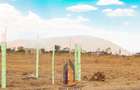 0.045 ha Residential Land in Juja - 3