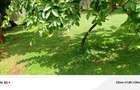 Residential Land in Kileleshwa - 10