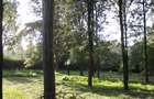 0.6 ha Land at Magadi Road - 12