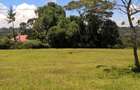 21 ac Land in Cianda - 8