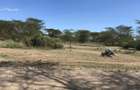 139 ac Land in Naivasha - 6