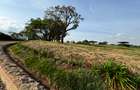 0.12 ac Land at Migaa Golf Estate - 1