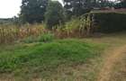 Land in Ngong - 3