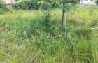 Land in Karen - 2