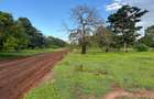 Residential Land in Vipingo - 6