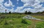 Residential Land in Runda - 3