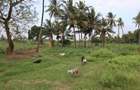 20 ac Land in Kikambala - 9