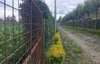 Residential Land in Kiserian - 3