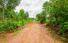 0.05 ha Residential Land at Kamangu - 9