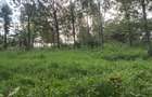 Land at Kibiko Ngong - 9