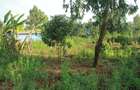 0.25 ac Land at Gikambura - 1