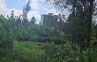 5,000 ft² Land at Muchatha Banana Kiambu - 7