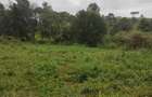 6 Bed House with En Suite in Tigoni - 7