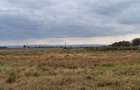 700 ac Land at Bisil - 7