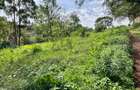 Residential Land at Westlands - 5