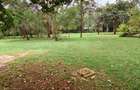 2 Bed House with Garden in Karen - 12