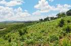 Land at Mtwapa Mtepeni - 7