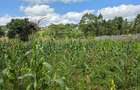 Land at Kibiko - 2