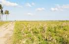 Land in Kilifi - 2