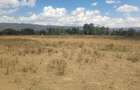 Land in Mai Mahiu - 8