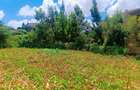 500 m² Residential Land at Riu-Nderi - 7