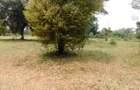 9 ac Land in Karen - 3