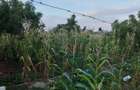 Land in Diani - 9